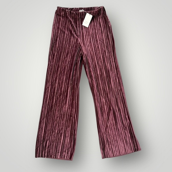 a new day Pants - 🎉5 for $45 🎉NWT A New Day Velvet Pants Women Size S